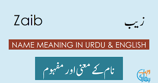 The names have slipped in popularity since then, and they are of modest use in recent times. Zaib Name Meaning Zaib Meaning Definition