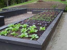 raised vegetable garden www shaferdesign co nz country gardening vegetable garden design country garden design