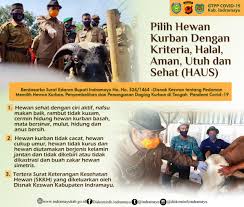 Ketentuan penyembelihan binatang menurut kaidah islam. Infopublik Taufik Hidayat Minta Masyrakat Kenali Hewan Kurban Yang Haus