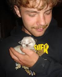 Milton (@miltonblue) • Instagram photos and videos