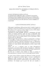 Pdf Qualche Concetto Scomodo In Tema Di Prova Orale Davide Turroni Academia Edu