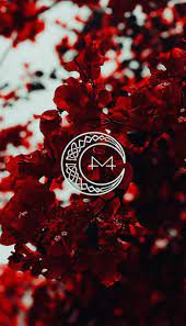 Download Mamamoo Red Moon Wallpaper By Poplockndropoulos E6 Free On Zedge Now Browse Millions Of Popular Kpop Iphone Wallpaper Witchy Wallpaper Red Moon