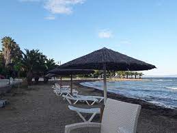 Αφγανιστανούπολις ή οι προσφυγομάχοι του 1922 και του 2020… Paralia Libanates Ellada Kritikes Tripadvisor