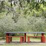 Parques municipales Mancebo e Indígena cambian sus horarios