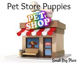 Whether you're likely to go to one these dog friendly places below with friends and family or alone, you're surely going to relish your trip. Pet Store Puppies Reasons Why Pet Shop Puppies Are Not A Good Idea