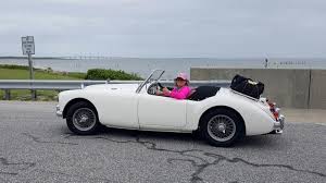 Image result for Old English White 1960 MG