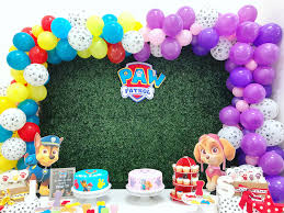 3rd Birthday Theme Ideas For Boy Pin By Chanicque Foster On 3 Jaar Oud Paw Patrol Birthday Decorations Joint Birthday Parties Paw Patrol Birthday Party