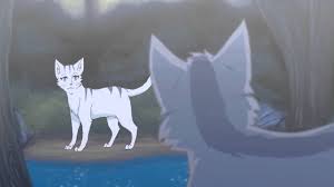 Graystripe x Silverstream AMV- Hymn for the Missing - YouTube