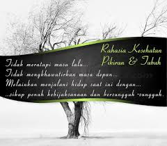 Tentu khusus untuk sobat sekalian. Kata Bijak Dalam Novel Islami Kata Kata Bijak