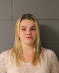 Southwest Chicago Post: Crime News Update