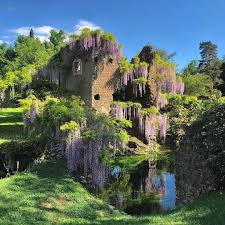 Maybe you would like to learn more about one of these? Artemest The Splendid Garden Of Ninfa Near Rome One Of Facebook