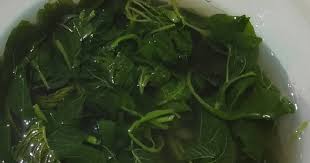 Disini adalah resep cara memasak sayur bayam bening enak, sajian keluarga yang sedap, wajib disajikan di dalam keluarga anda. 3 454 Resep Sayur Bening Bayam Sederhana Enak Dan Sederhana Ala Rumahan Cookpad