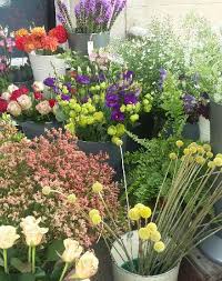 Maybe you would like to learn more about one of these? Garden Room Flowers Of Bath Diane Day