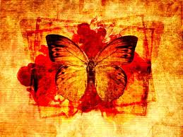 Download and use 20,000+ birds stock photos for free. 120 Butterfly Wallpapers Hd Download Free Backgrounds