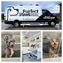 Perfect Paws Mobile Dog Grooming from www.purfectpawsgrooming.com