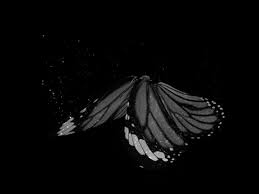 (please see wiki for details). Black Anime Album On Imgur