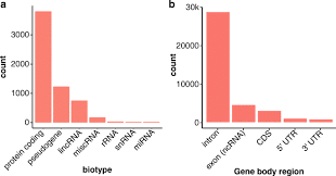 View location map, opening times and customer reviews. Systematic Analysis Of Dark And Camouflaged Genes Reveals Disease Relevant Genes Hiding In Plain Sight Genome Biology Full Text