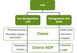 Bod Cod Treatment With Ozone Ozonetech