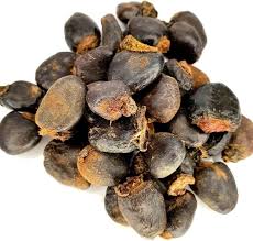 Image result for Anacardium