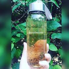 Siapkan 1 batang kayu manis dan jangan pakai kayu manis bubuk. Aneka Resep Infused Water Sesuai Kegunaannya Tak Hanya Langsing Yang Didapat Sehatnya Juga
