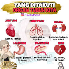 The pancreas is an organ that produces insulin and digestive enzymes. Facebook