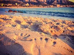 Les fleuves, les zones d'emploi, les académies, les vignobles, les routes. Plages A Marseille Marseille Tourisme