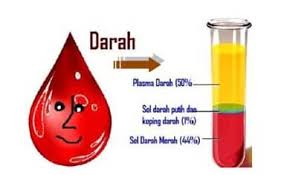 Plasma darah adalah bagian darah yang cair terdiri atas : Pengertian Plasma Darah Fungsi Ciri Komponen Dan Susunan