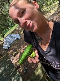 Just ate one of my cucumbers and Tomatoes. Nothing like fresh vegetables  right out of the garden.