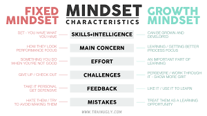GrowthMindset: Lessons from a NCAA Intern