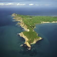 We did not find results for: Point Reyes