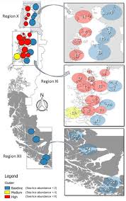Frontiers | Epidemiological Factors Associated With Caligus rogercresseyi  Infection, Abundance, and Spatial Distribution in Southern Chile