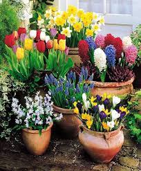 Spring Flower Decor Ideas Start Growing Your Own Front Back Yard Garden 23 Plants Garden Containers Flower Garden