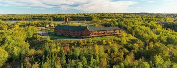 Image result for Elymandra grallata