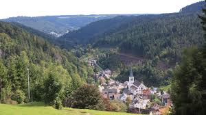 The lauterbach law firm has been practicing law in new city, new york for decades. Lauterbach In The Black Forest