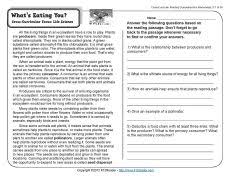 Pin On Food Chains Webs