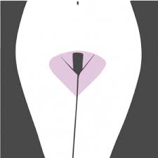Depilacao Intima Feminina Dicas Cuidados Modelos Pello Menos