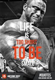 Best Bodybuilding Quotes Life Is Too Short To Be Small Bodybuilding Quotes Bodybuilding Motivation Inspiration Build Muscle