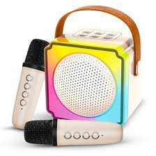 Wireless Karaoke Speaker Set with Two Premium Microphones – Wembley Toys