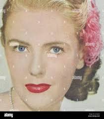 Lup hi-res stock photography and images