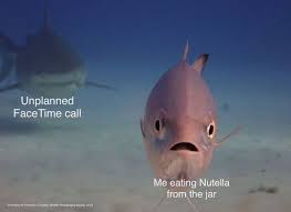 Pin On Memes