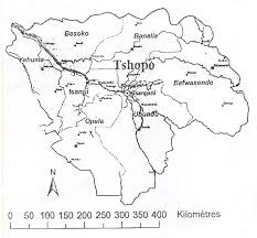 Image result for Leptonychia tokana