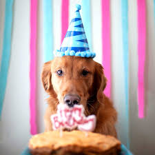 The notes of the f major chord are f a and c. Play Happy Birthday Expert Music Sheet Play On Virtual Piano