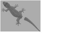 Check spelling or type a new query. Kelangsungan Hidup Organisme Sugeng Budiyanto