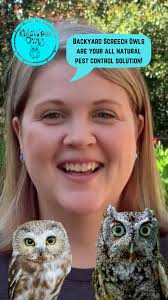 Screech Owls, Your Home, & Pest Control
