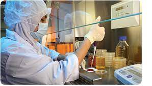 The economic & monetary review is a technical publication that documents the bank\u2019s economic assessment and research. Research Development Profile Power Root Malaysia