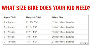 bike size chart