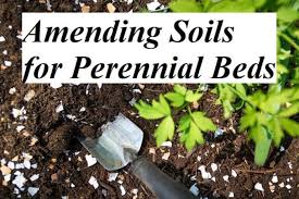 We did not find results for: Amending Soils For Perennial Beds Gardens Nursery