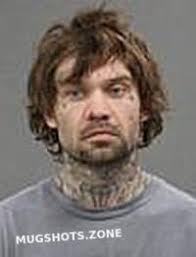 Wayne County Mugshots Zone