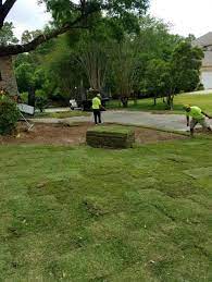 We did not find results for: Sod Installation Lawn Care Gallery