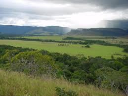 Im osten befindet sich guayana, im süden liegt brasilien und im westen kolumbien. Die Wasserfalle Im Gran Sabana Besichtigen Aventura Do Brasil